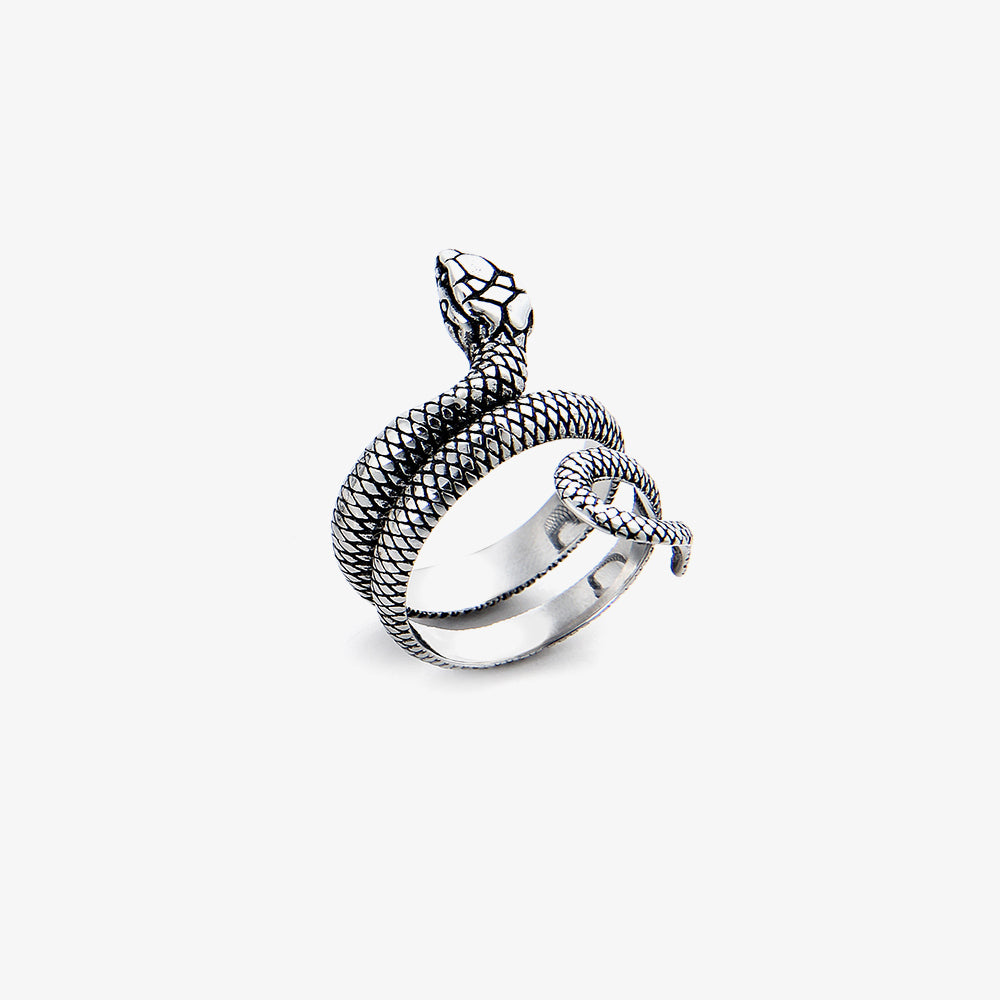 Titanium Steel Double Snake Ring