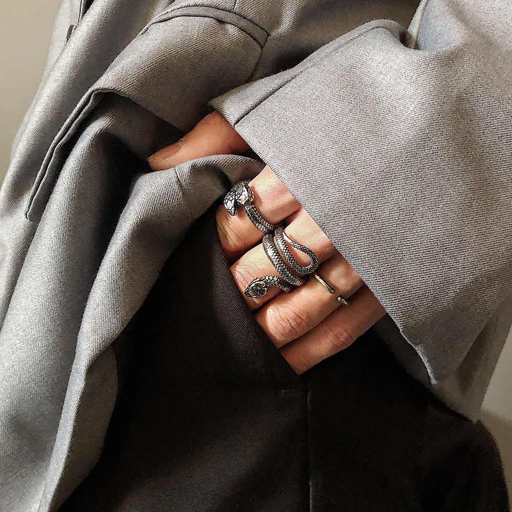 Titanium Steel Double Snake Ring